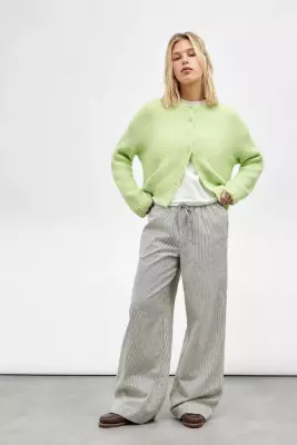 Joey Poplin Stripe Pants